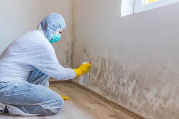 Mold Remediation specialist working in Cedarhurst